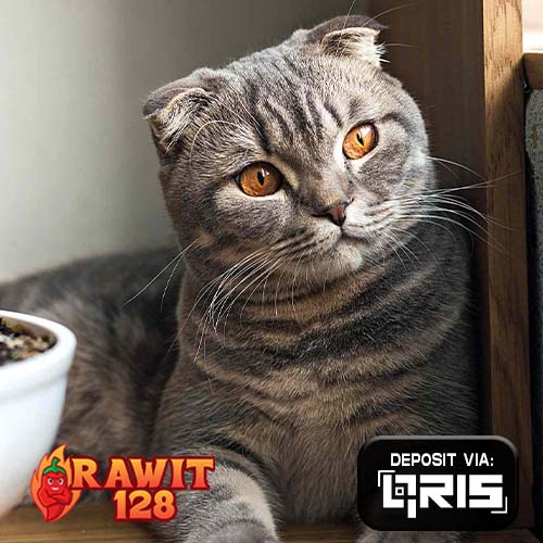 RAWIT128 AKSES LINK MASUK SLOT MAHJONG